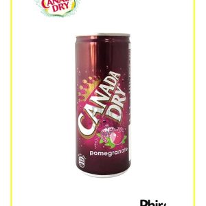 Canada Dry (Pomegranate)