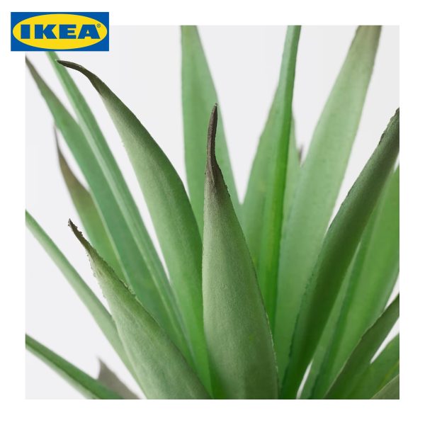 FEJKA Artificial potted plant with pot, in/outdoor Succulent - Image 3